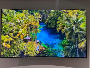 TV beschikbaar voor biedingen