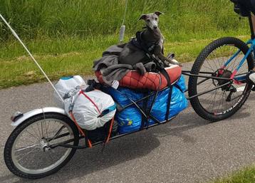 Bob yak fietstrailer incl true axle  beschikbaar voor biedingen