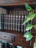 Winkler prins encyclopedie 25 delen, Ophalen of Verzenden, Zo goed als nieuw