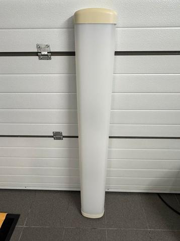 TL met schelp  beschikbaar voor biedingen