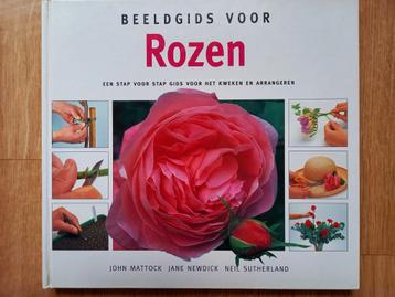 BEELDGIDS VOOR ROZEN beschikbaar voor biedingen