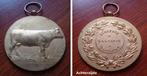 Medaille Jaarmarkt en Veeprijskamp Eksaarde, Timbres & Monnaies, Pièces & Médailles, Bronze, Envoi
