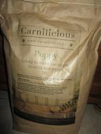 hondenbrokken, Enlèvement ou Envoi, Chien