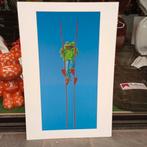 Jasper Oostland kikker nu 25 ipv 350€, Antiek en Kunst, Ophalen of Verzenden