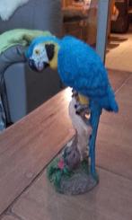 Beeld blauw gele ara op tak, Ophalen of Verzenden