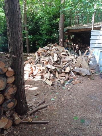 loten brandhout beschikbaar voor biedingen