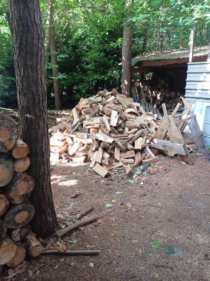 loten brandhout, Jardin & Terrasse, Bois de chauffage, Bûches, Autres essences de bois, 6 m³ ou plus, Enlèvement