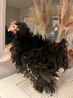 5 Coqs de pékin / Pékin frisé à vendre, Animaux & Accessoires, Volatiles, Mâle, Poule ou poulet