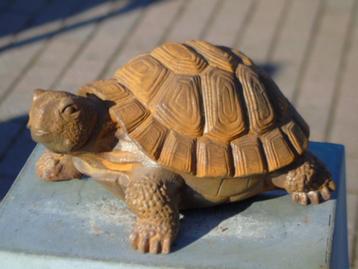 roestige gietijzeren schildpad. beschikbaar voor biedingen