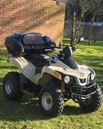Quad SYM Lander 300S