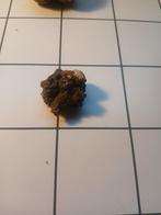 Coproliet, Verzamelen, Mineralen en Fossielen, Ophalen of Verzenden