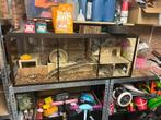 Kooi hamster terrarium, Ophalen, Kooi, 110 cm of meer, Hamster