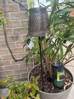 Plantverlichting op zonne-energie nieuw, Ophalen of Verzenden, Zonne-energie