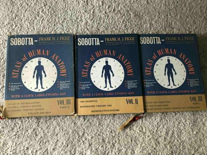 SOBOTTA (Atlas of human anatomy), Boeken, Studieboeken en Cursussen, Gelezen, Hoger Onderwijs, Ophalen