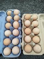 Broedeieren, Dieren en Toebehoren