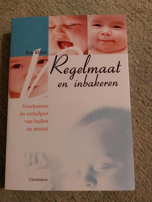 R. Blom - Regelmaat en inbakeren, Boeken, Kinderboeken | Baby's en Peuters, Zo goed als nieuw, Ophalen of Verzenden
