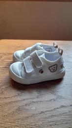 Sneakers van canvas met klittenband maat 21, Gebruikt, Jongetje of Meisje, Overige typen, Cosy Pixies