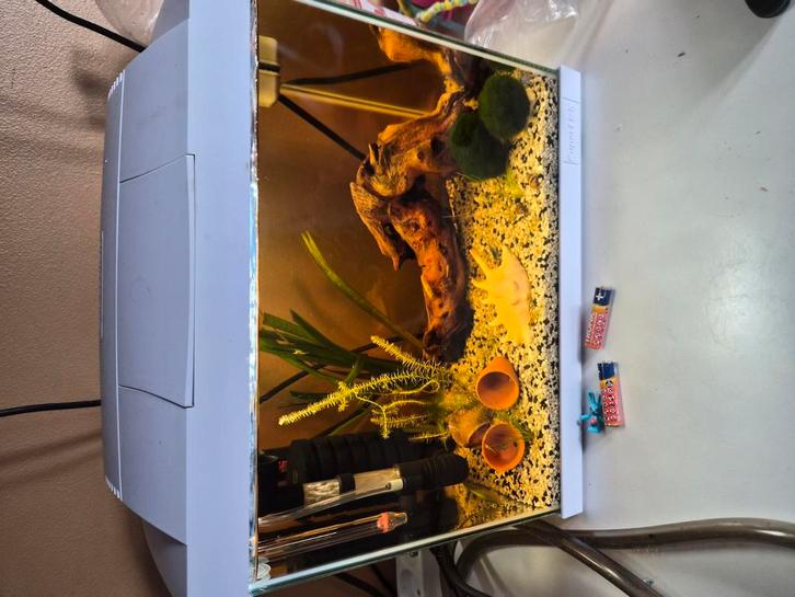 2 aquariums remplis, Animaux & Accessoires, Poissons | Aquariums & Accessoires, Comme neuf, Aquarium d'eau douce rempli, Enlèvement