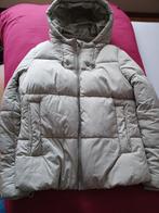 Winterjas, Enlèvement, Neuf, Taille 38/40 (M), Beige