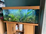 Aquarium, Ophalen, Zo goed als nieuw