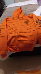 Oranje trui dames maat xl, Vêtements | Femmes, Pulls & Gilets, Enlèvement, Comme neuf, Taille 46/48 (XL) ou plus grande, Orange