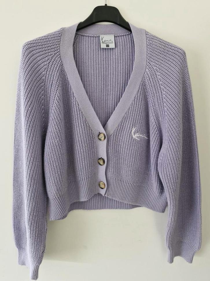 MERK Karl Kani dames trui lila, Kleding | Dames, Truien en Vesten, Zo goed als nieuw, Maat 36 (S), Overige kleuren, Ophalen