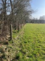 Betonnen weipalen, Dieren en Toebehoren, Stalling en Weidegang