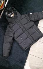 Burberry Puffer, Kleding | Heren, Jassen | Winter, Ophalen of Verzenden, Zwart