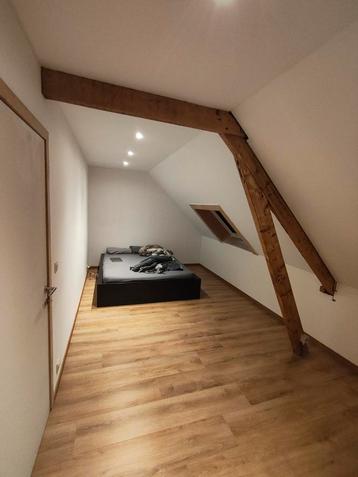Kamer(s) te huur, Antwerpen (stad)