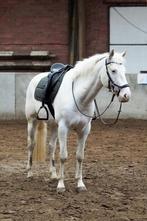 ANKY dekje veelzijdigheid, Dieren en Toebehoren, Ophalen of Verzenden, Gebruikt, Dekje