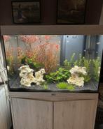 Aquarium compleet, Dieren en Toebehoren, Ophalen, Nieuw, Leeg aquarium