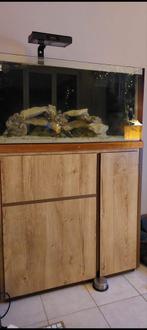 Rifaquarium voor zoet water 350L + karaf, Dieren en Toebehoren, Ophalen