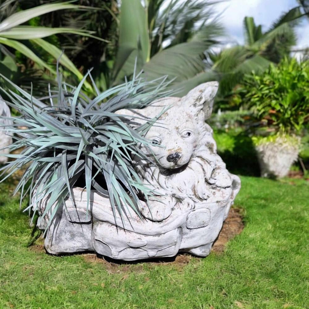 Vrolijk hondje, betonnen tuinbeeld, winterhard., Tuin en Terras, Tuinbeelden, Ophalen, Gebruikt, Beton, Dierenbeeld