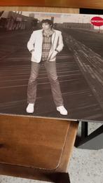 vinyl 33t de jean-patrick capdevielle " le long de la jetée, CD & DVD, Vinyles | Rock, 12 pouces, Utilisé, Enlèvement ou Envoi