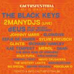 Twee tickets Cactusfestival zondag 13.07, Tickets en Kaartjes, Twee personen