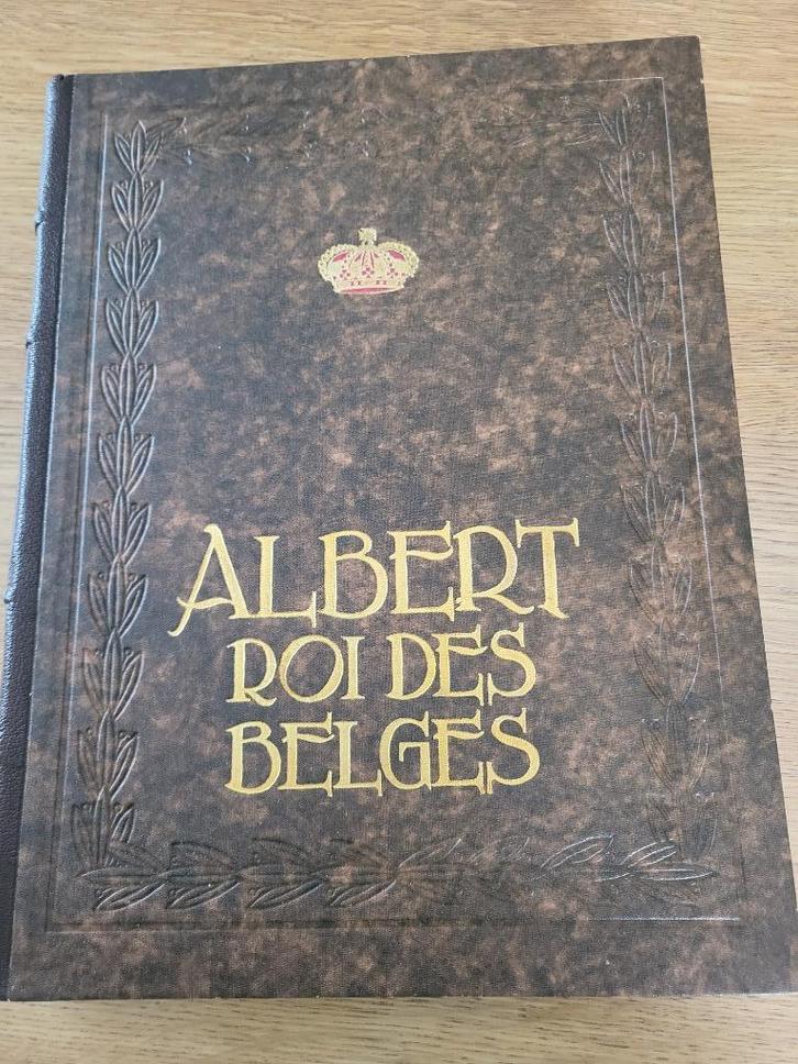 Albert Roi des Belges, Boeken, Geschiedenis | Nationaal, Zo goed als nieuw, 20e eeuw of later, Ophalen of Verzenden
