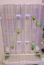 Belle cage à oiseaux, Animaux & Accessoires, Comme neuf, Enlèvement, Cage à oiseaux