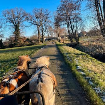 Menles beschikbaar voor biedingen
