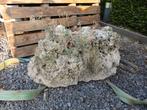 Grote vijversteen maansteen
70 cm, Tuin en Terras, Grind, Keien en Split, Ophalen, Zo goed als nieuw, Beige