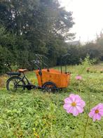 Vogue E-Cargo bakfiets, Fietsen en Brommers, Fietsen | Bakfietsen, 4 kinderen of meer, Gebruikt, Elektrisch, Ophalen