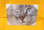 3D kader kat met blauwe ogen 25cm op 35cm, Audio, Tv en Foto, Foto | Digitale fotokaders, Ophalen of Verzenden