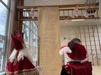 Huisbezoek Sint en Piet, Ophalen, Nieuw