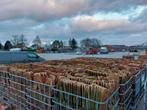 Recuperatie dakpannen boomse rood, Doe-het-zelf en Bouw, Dakpannen en Dakbedekking, Ophalen, Gebruikt, Steen of Klei, 15 m² of meer