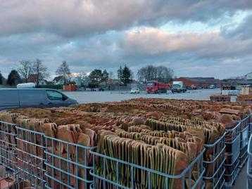 Recuperatie dakpannen boomse rood  beschikbaar voor biedingen
