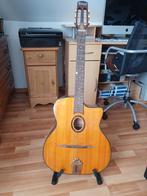 Guitare manouche Richwood Artist Series – Pan coupé, Musique & Instruments, Enlèvement, Comme neuf, Autres types