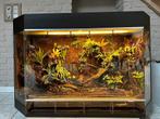 TERRARIUM sur mesure (120x50x80cm), Dieren en Toebehoren, Reptielen en Amfibieën | Toebehoren, Ophalen, Gebruikt, Terrarium of Paludarium