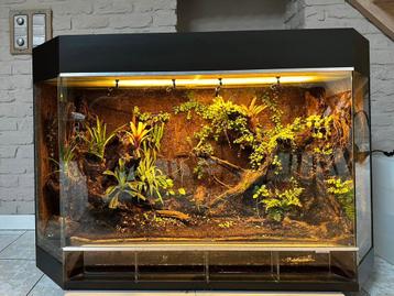TERRARIUM sur mesure (120x50x80cm) beschikbaar voor biedingen