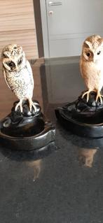 Vintage uilen, Enlèvement