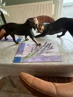 Bronzen pamters, Antiek en Kunst, Antiek | Brons en Koper, Ophalen