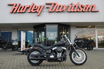 Harley-Davidson FXST Softail Standard (bj 2021), Overig